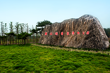 鲁南明珠 中国荷都